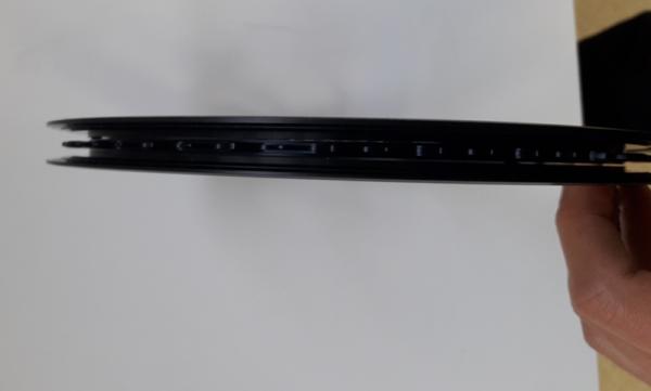 Corone e Bash accostati visti di profilo